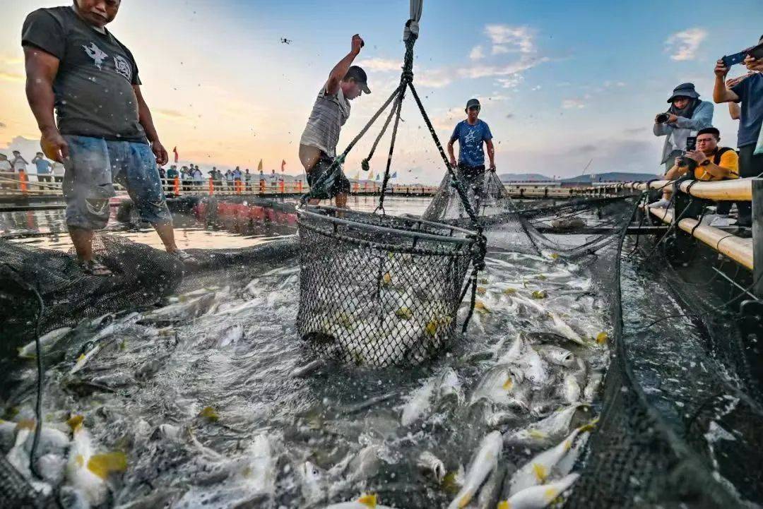 福建海产界的四大天王,4招就俘获福建人的心