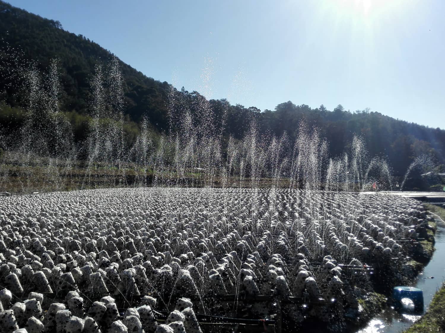 漳平市赤水镇香寮村