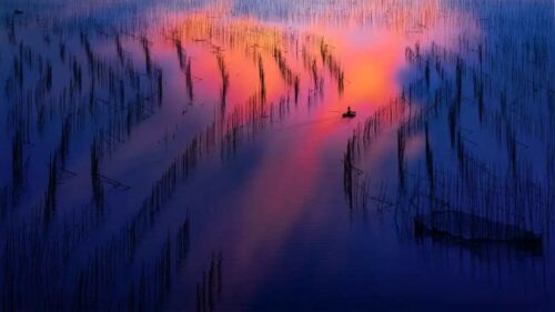 这些老照片，让霞浦人都泪目了！