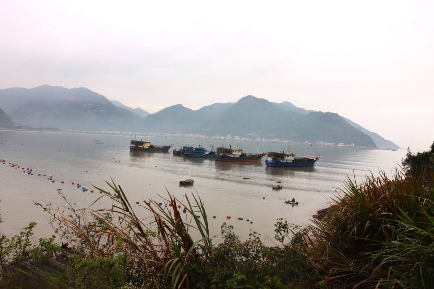 最美八闽,霞浦三沙围栏艳 沙江打卡“S”弯
