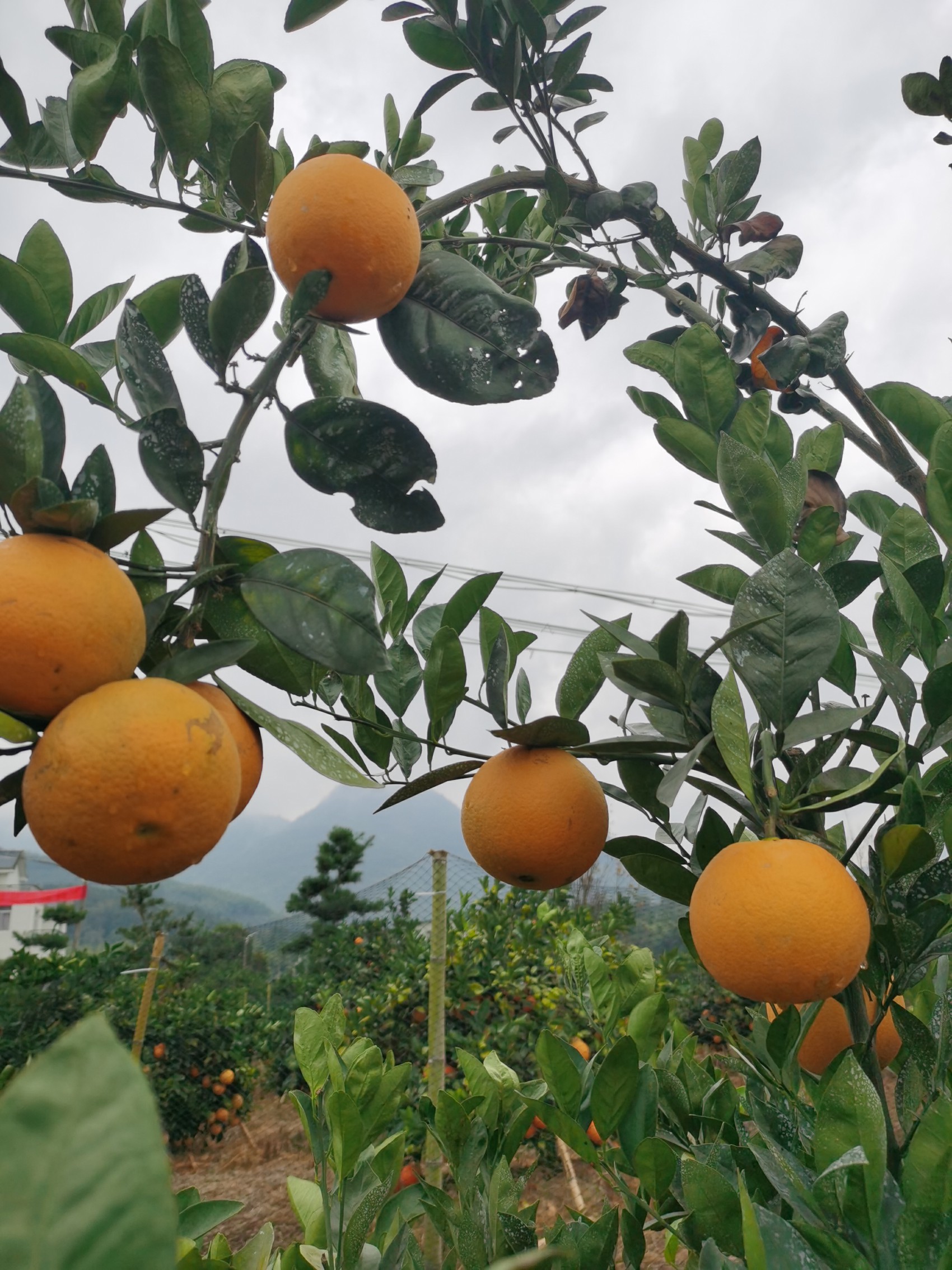 福清市一都镇东山村