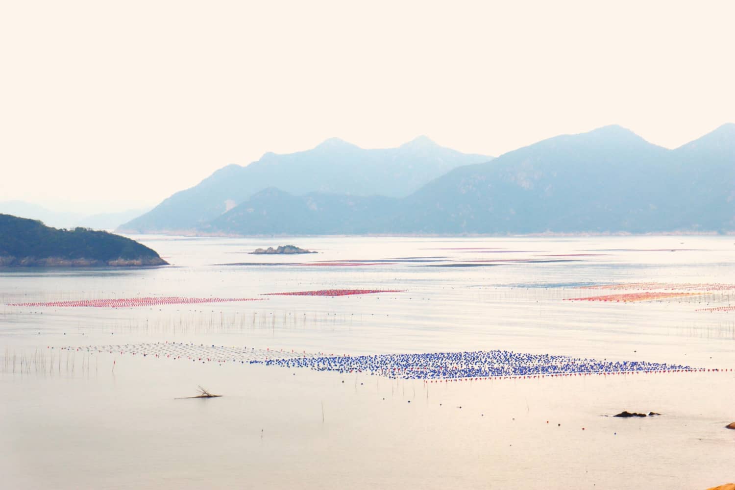 最美八闽,霞浦三沙围栏艳 沙江打卡“S”弯