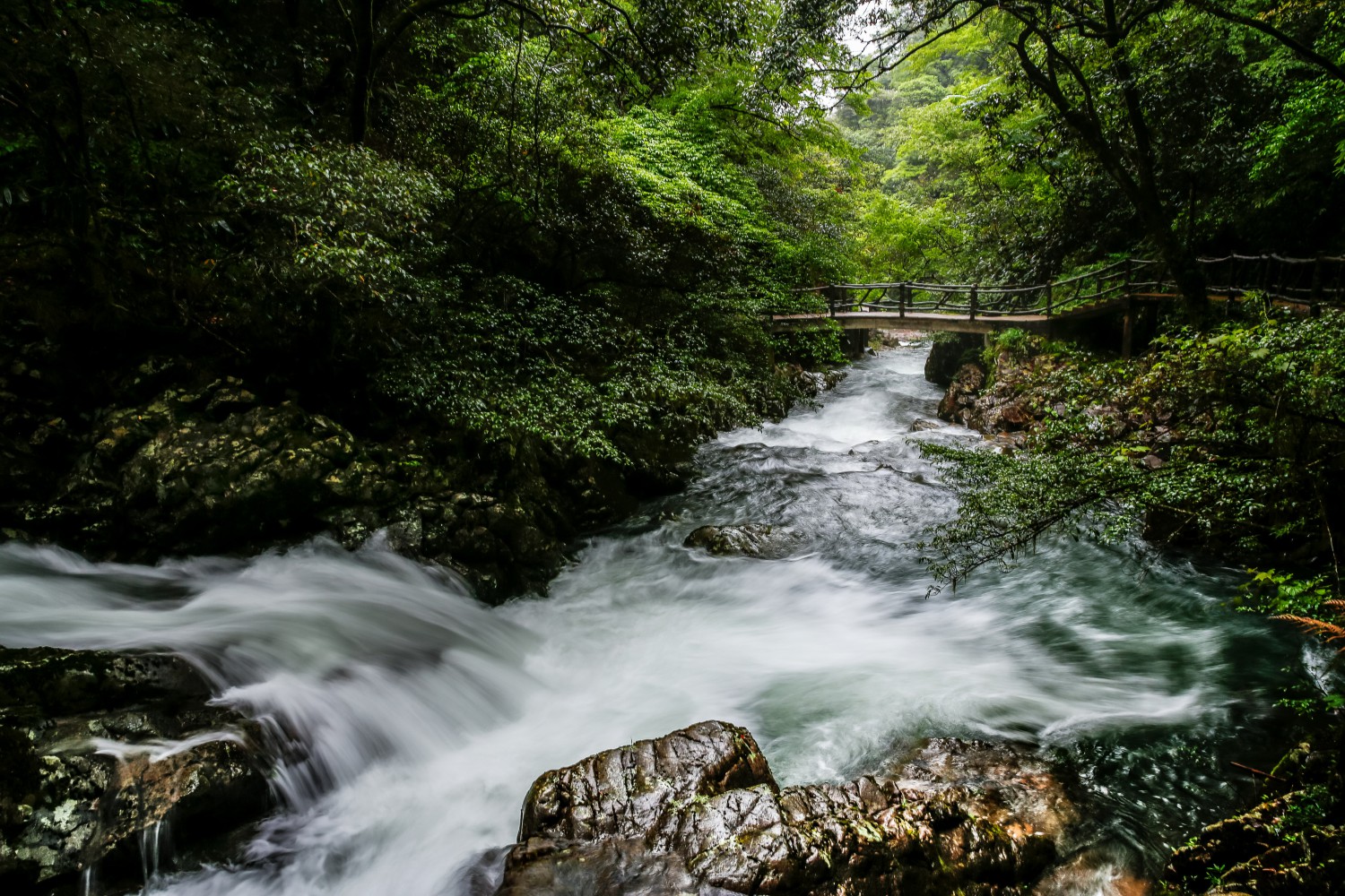南平武夷山市大安村