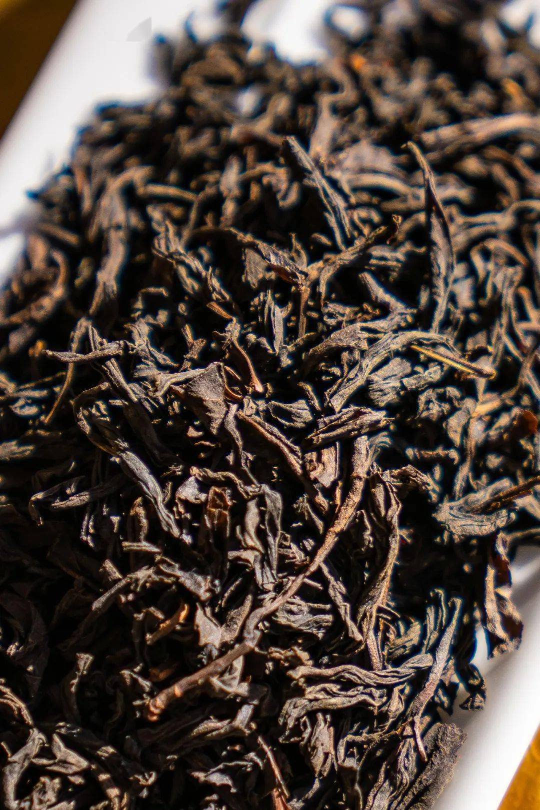 中国茶叶第一大省,凭什么是它?