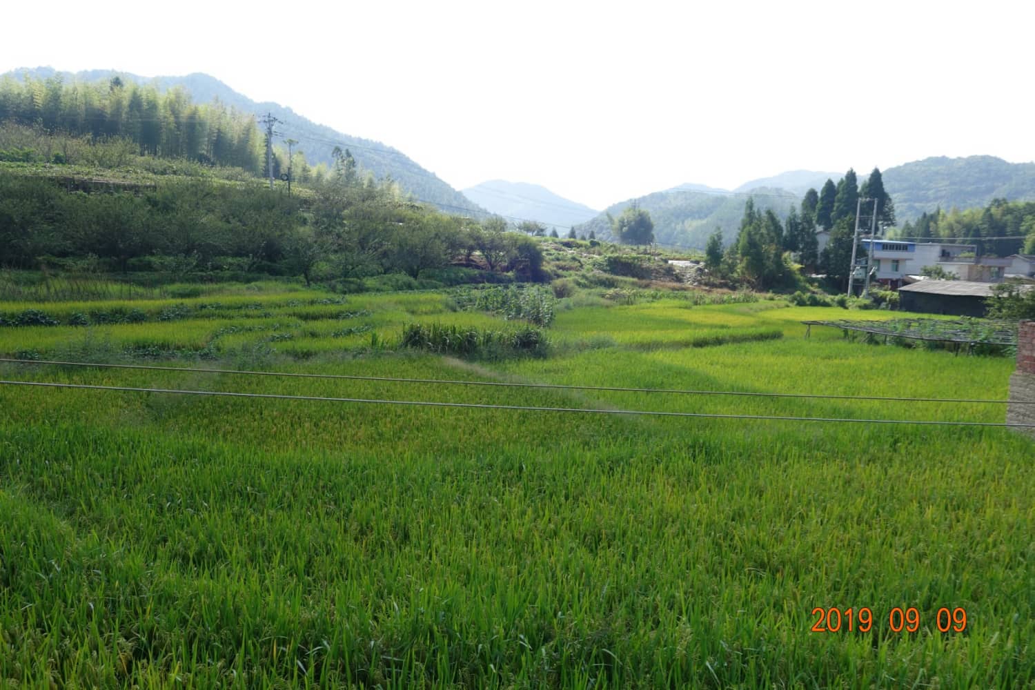 宁德市古田县城东街道桃溪村