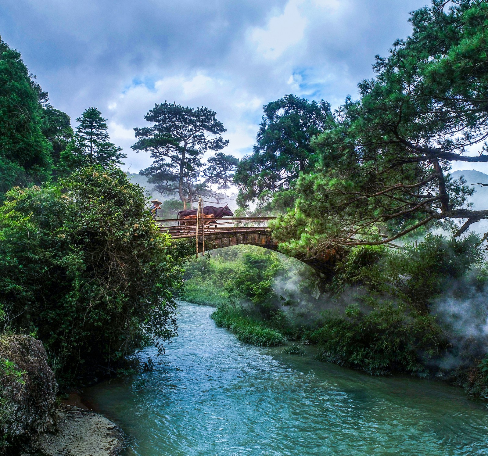 莆田市仙游县西苑乡凤山村