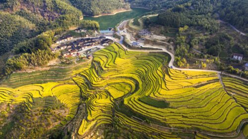 南平市政和县星溪乡念山村