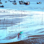 霞浦小皓村：探索霞浦的自然之美与渔业文化