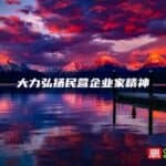 大力弘扬民营企业家精神