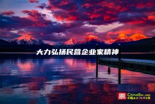 大力弘扬民营企业家精神