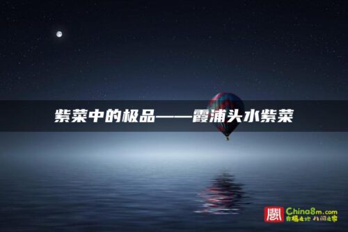 紫菜中的极品——霞浦头水紫菜