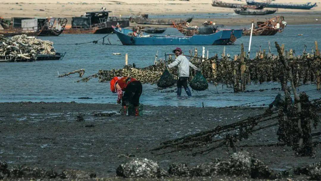 福建海产界的四大天王,4招就俘获福建人的心