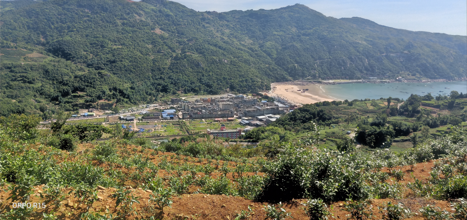 宁德福鼎市沙埕镇小白鹭村