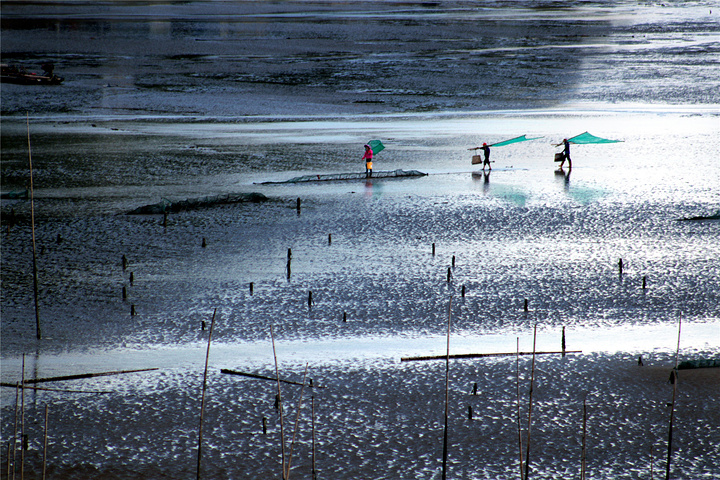 霞浦小皓村：探索霞浦的自然之美与渔业文化