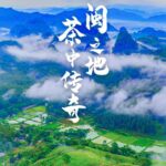 中国茶叶第一大省，凭什么是它？