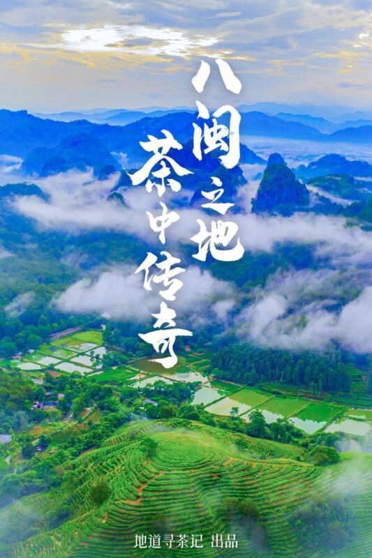 中国茶叶第一大省，凭什么是它？