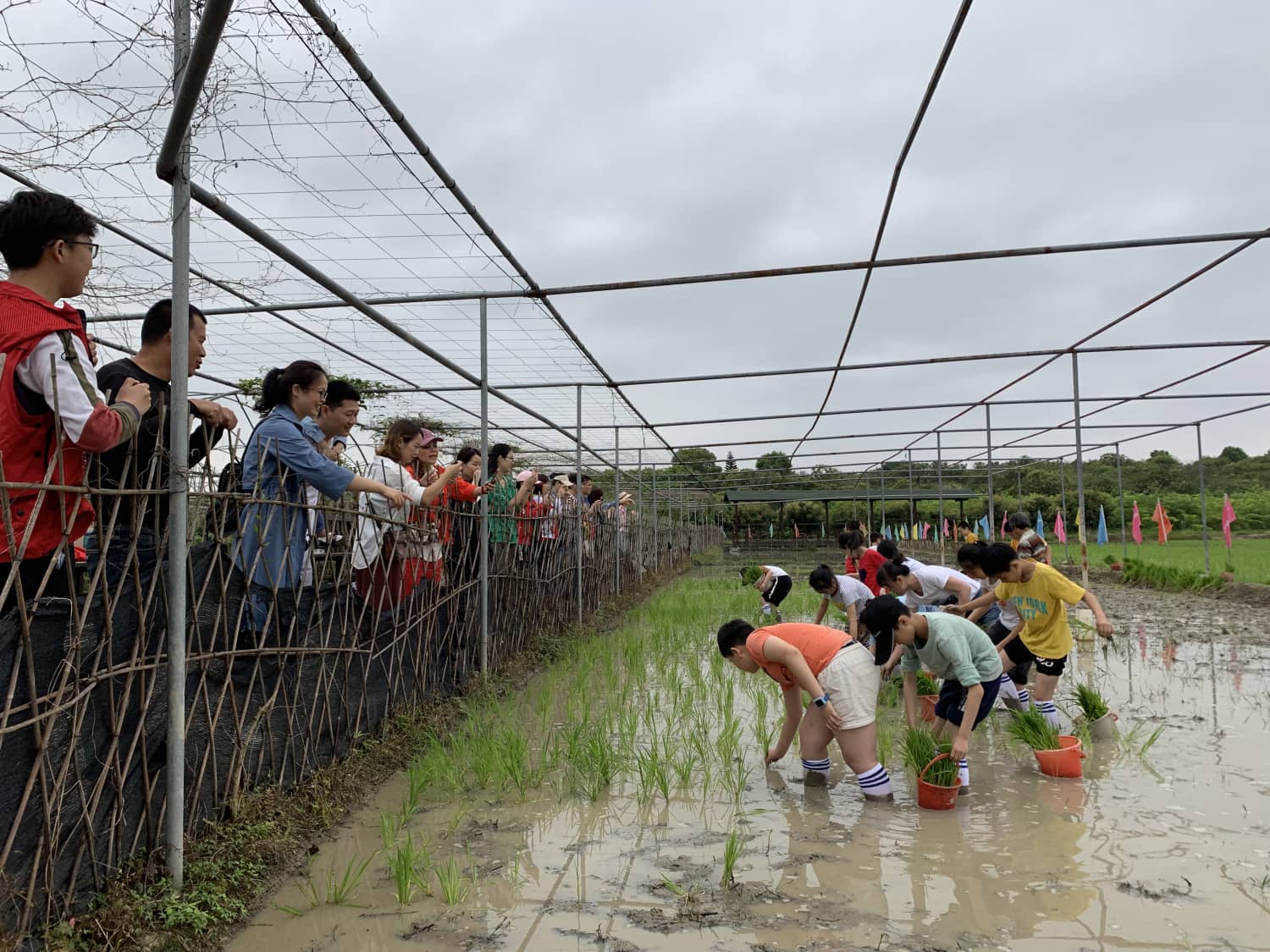 莆田市荔城区西天尾镇后黄社区