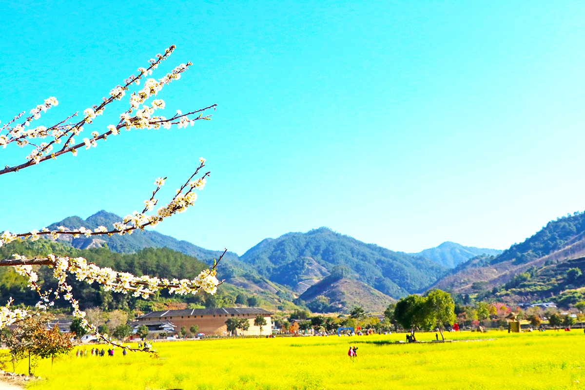 福建省漳州市华安县仙都镇大地村:奏响乡风文明之歌