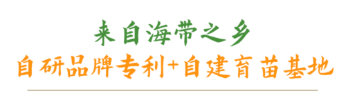 来自海带之乡的压缩小海带，免洗即食可涮、可炒、可煮，给你纯天然的味道！