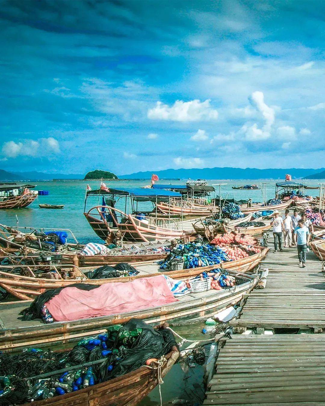 福建海产界的四大天王,4招就俘获福建人的心