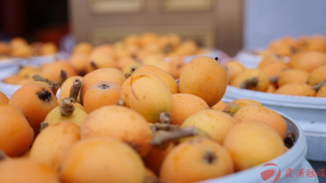 美食霞浦的大半江山