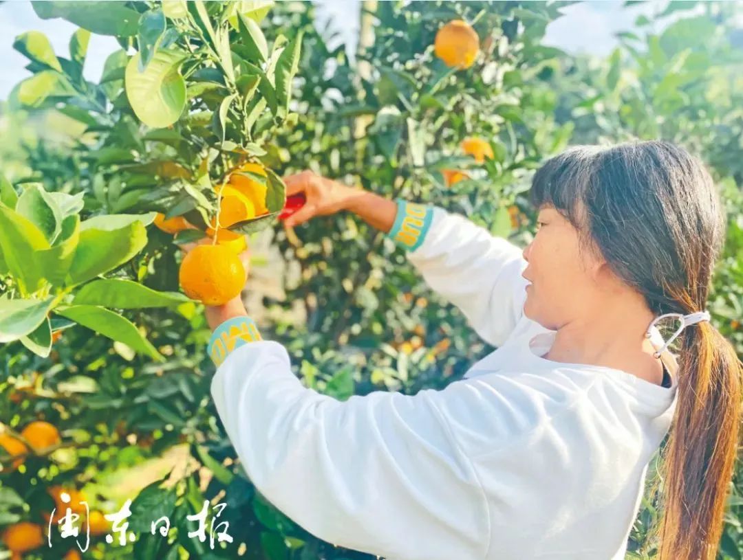 美食霞浦的大半江山