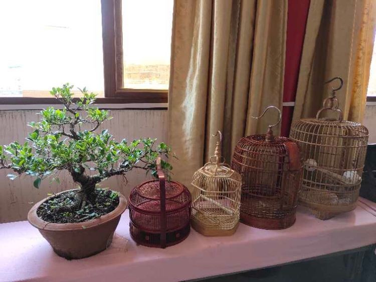 八闽竹器第一乡郭宅村即将消亡,如何拯救千年竹编技艺乃当务之急