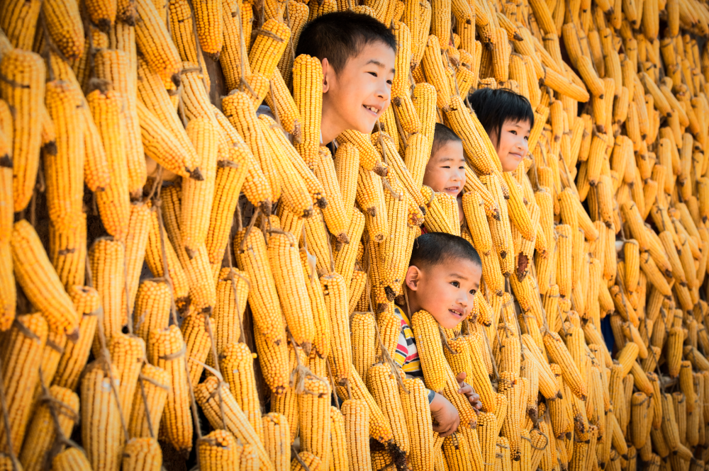 三明市尤溪县洋中镇桂峰村