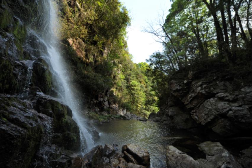 漳平市赤水镇香寮村
