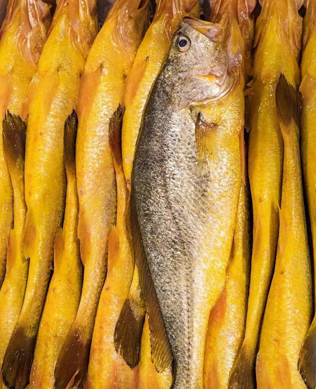 福建海产界的四大天王,4招就俘获福建人的心