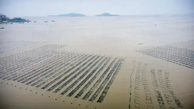 一个闽东说闽南话的海边胜地三沙，荣获中国“最美渔港”称号