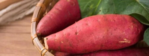 明朝万历年间，一个老秀才将番薯偷运到中国，从此改变历史