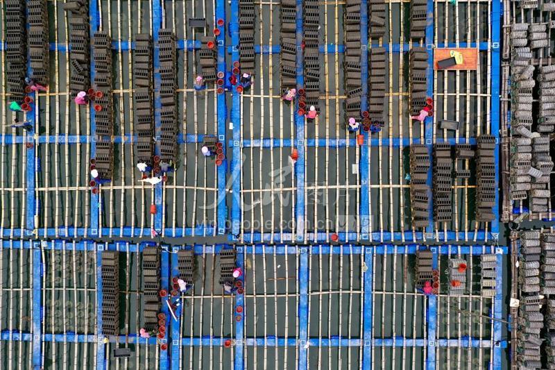 我的家乡-八闽风采