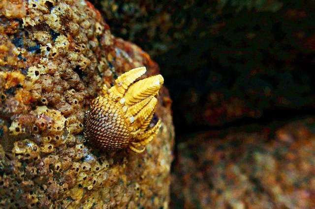 我的家乡-八闽风采