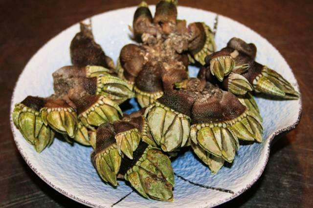 我的家乡-八闽风采