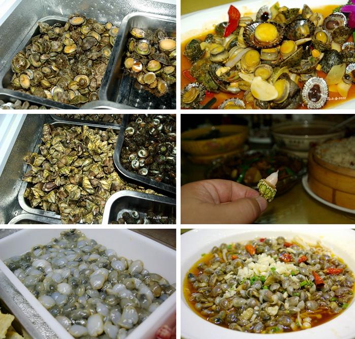 我的家乡-八闽风采