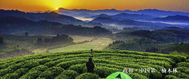 “2022美丽中国·深呼吸小城”名单，福建8地入围