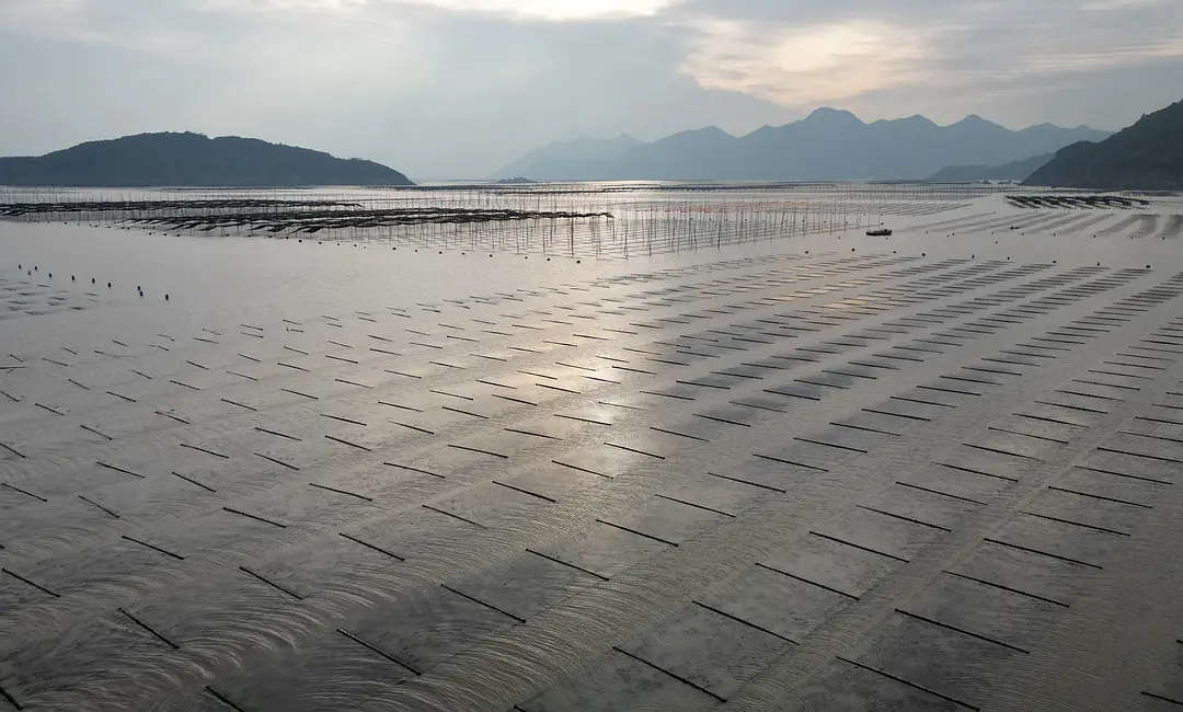 探索霞浦:滩涂之美与变化的县城