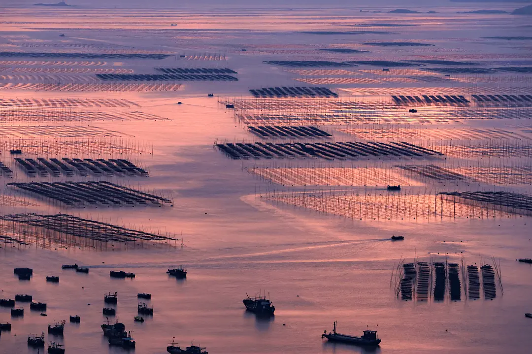 探索霞浦:滩涂之美与变化的县城