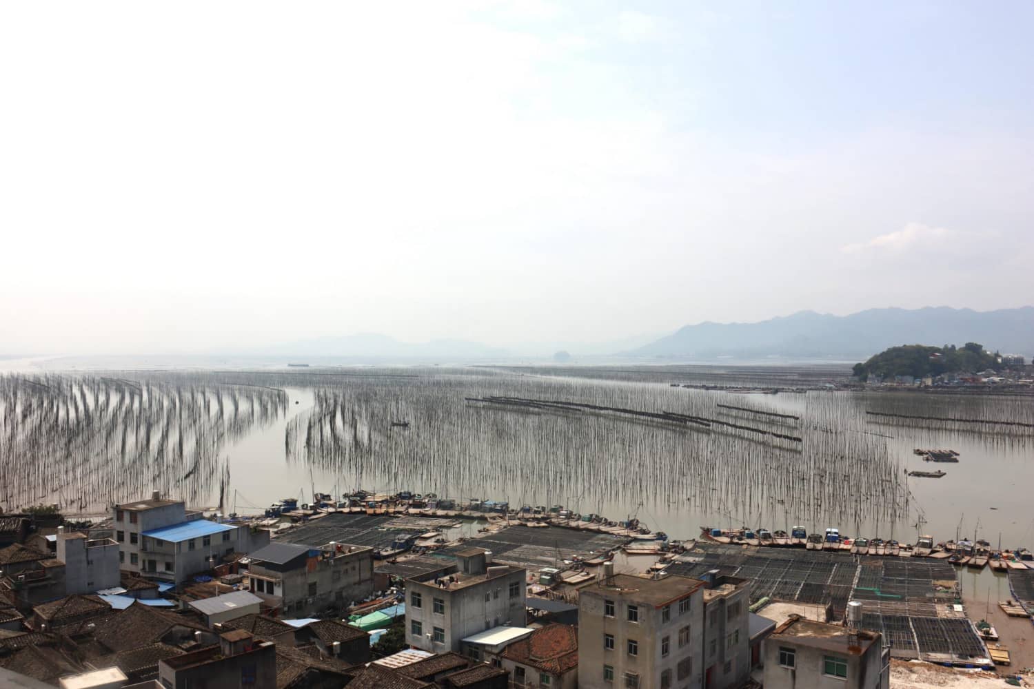 最美八闽,霞浦三沙围栏艳 沙江打卡“S”弯