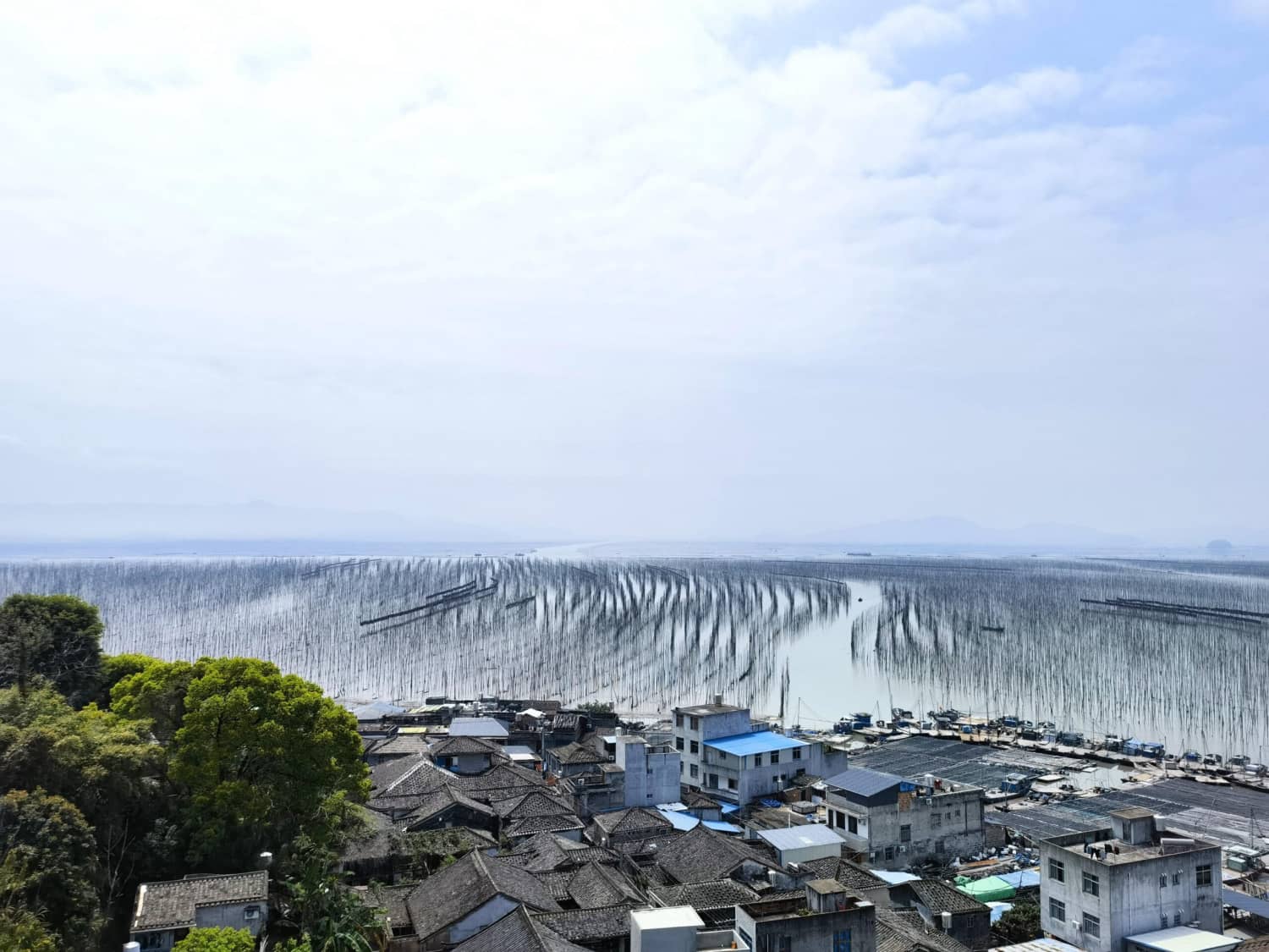 最美八闽,霞浦三沙围栏艳 沙江打卡“S”弯