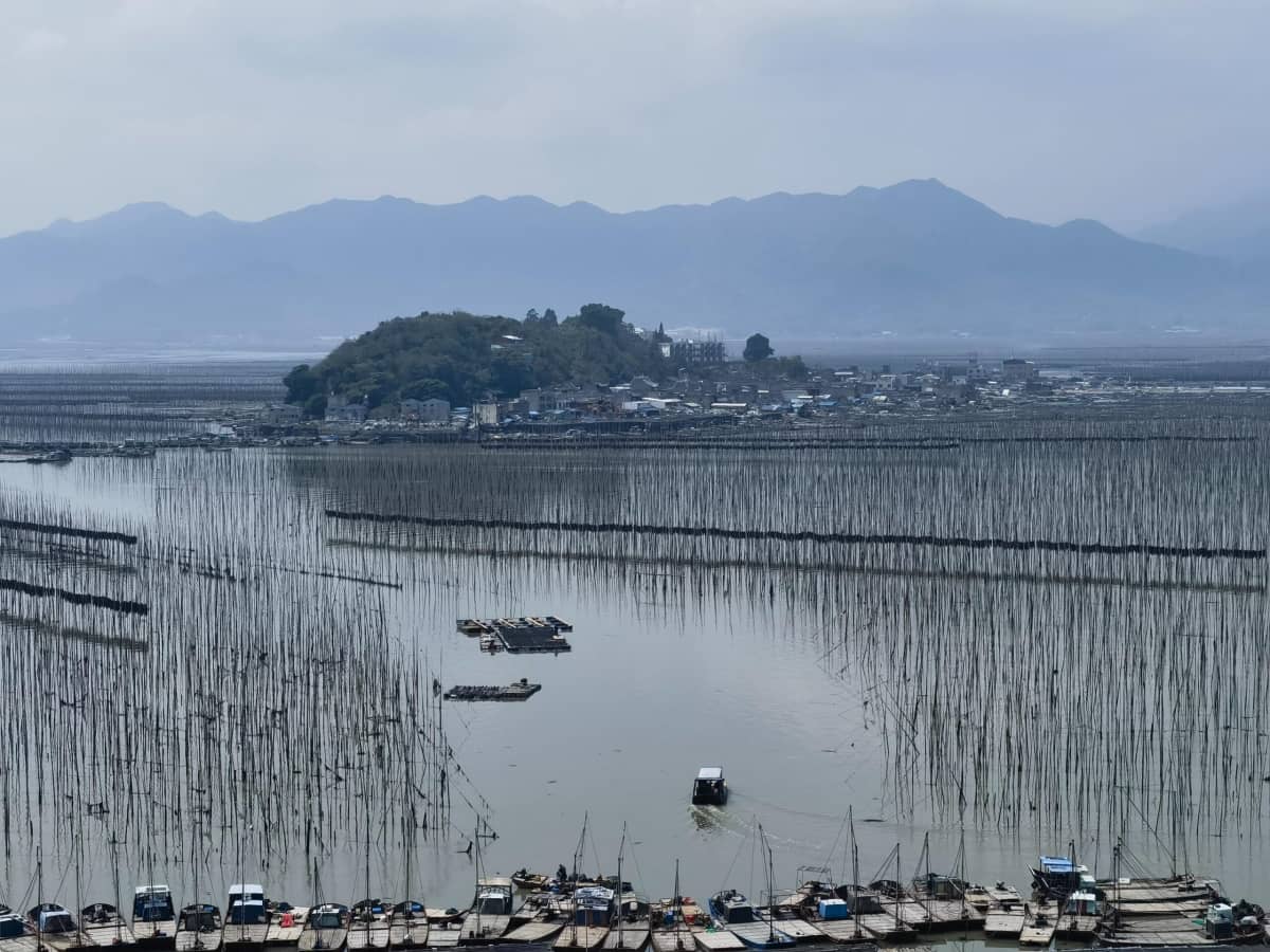 最美八闽,霞浦三沙围栏艳 沙江打卡“S”弯
