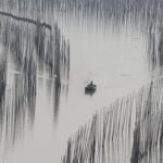 最美八闽，霞浦三沙围栏艳 沙江打卡“S”弯