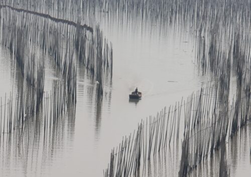 最美八闽，霞浦三沙围栏艳 沙江打卡“S”弯