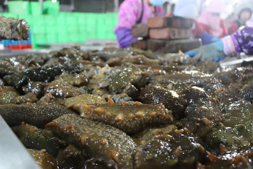 我的家乡-八闽风采