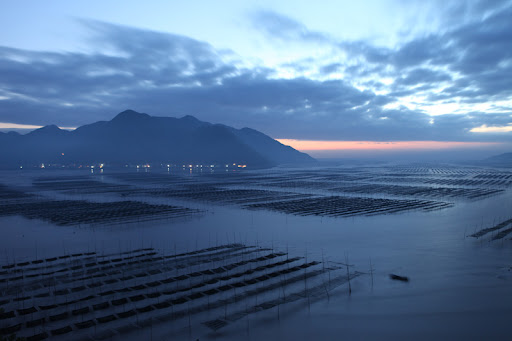我的家乡-八闽风采