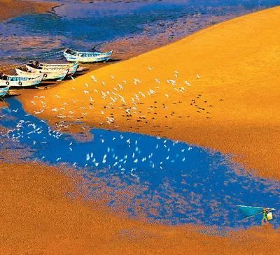 我的家乡-八闽风采