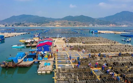 我的家乡-八闽风采