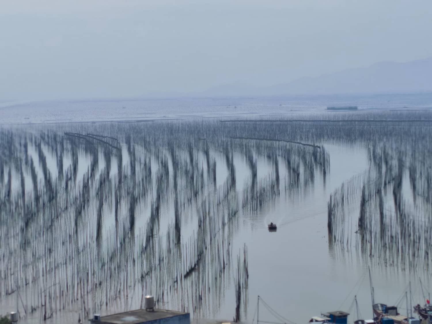最美八闽,霞浦三沙围栏艳 沙江打卡“S”弯