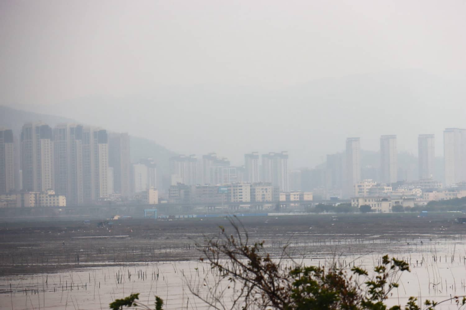 最美八闽,霞浦三沙围栏艳 沙江打卡“S”弯